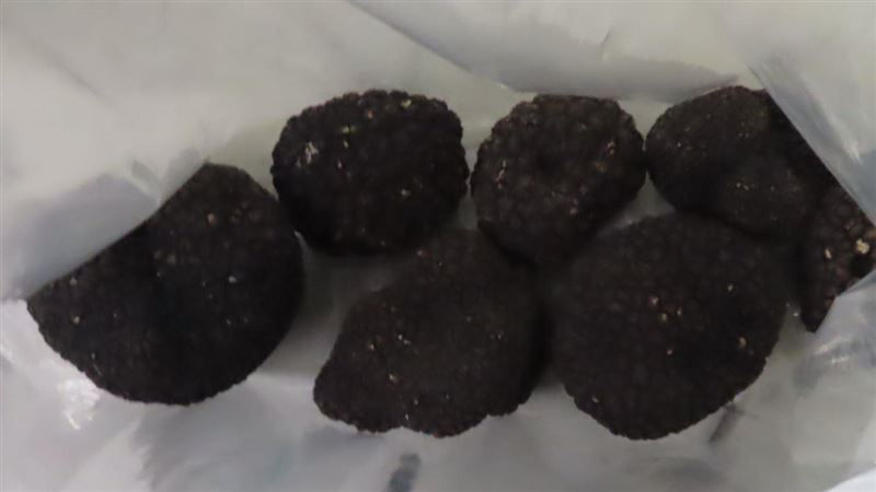 義大利松露7度鎘超標　食藥署祭出三手段