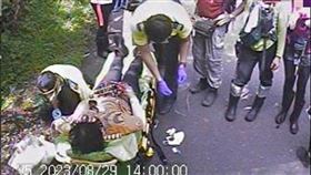 新竹,尖石,鴛鴦谷瀑布,虎頭蜂,登山團,