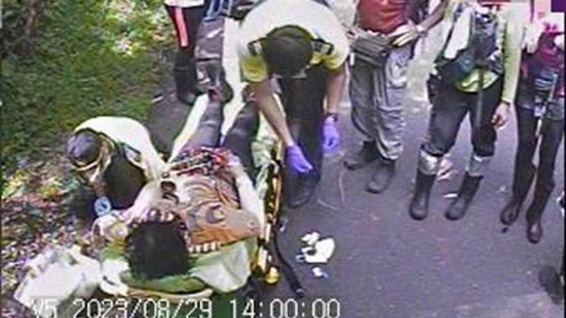 虎頭蜂群襲擊！　80人登山團7人遭螫傷