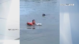 兔被狗追跳湖！路過阿伯秒跳下去救牠上岸