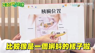 重磅曝光！癌王胰臟癌的早期症狀曝光是它