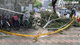 台北市捷運六張犁站外人行道發生樹枝掉落砸中路人意外。（圖／番攝畫面）