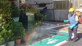 北市登革熱(北市府)