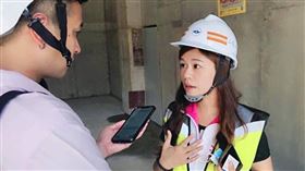 ▲台北市議員洪婉臻表示，倒塌的樹種是楓香樹，目前北市大量種植約7300株。（圖／翻攝自洪婉臻臉書）