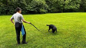 電子產品偵測犬晶圓。（圖／保三總隊提供）