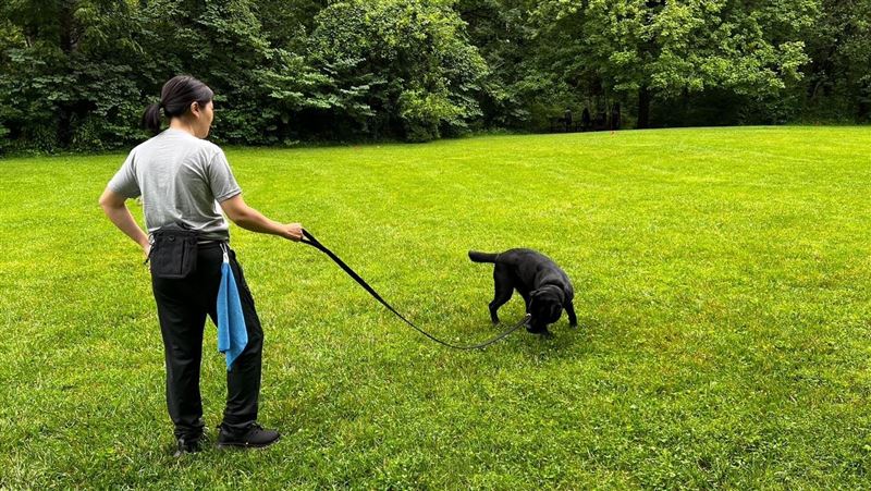台首隻電子偵測犬　虛擬幣冷錢包也能找到