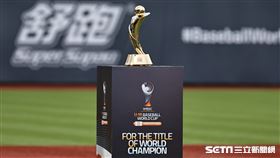 ▲U18世界盃棒球賽冠軍獎盃。（圖／記者劉彥池攝影）