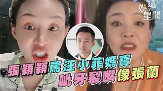 張蘭二代機問世