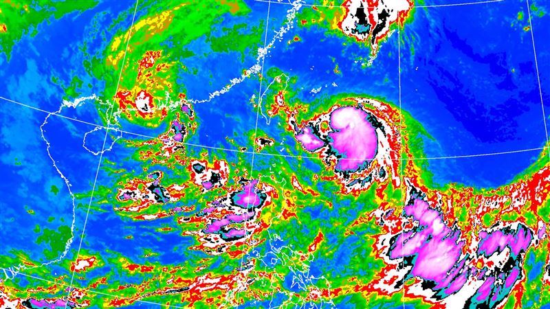 海葵「痛苦在後頭」專家：2處長期抗戰