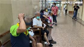 南投竹山瑞龍瀑布虎頭蜂螫，21人就醫。（圖／翻攝畫面）