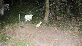 花蓮惡狼夜挑落單女子劫色花蓮有性侵前科的江姓男子，日前在台鐵新城火車站附近見有女子落單，強行將女子拉進草叢意圖性侵及搶奪財物，女子奮力逃脫後報案。（新城警分局提供）中央社記者張祈傳真  112年3月16日