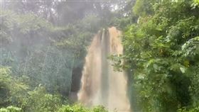 花蓮,路樹倒塌,土石流,