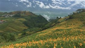 花蓮金針花季到每年8至10月是花蓮玉里赤科山、富里六十石山金針花開時節，觀光處呼籲遊客遵守花季期間上下山的交通管制措施及縣府公告，更要隨時注意氣象預報，以免天候不佳影響上山賞花的行程。中央社記者李先鳳攝  112年8月21日