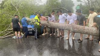 路樹倒塌壓毀小貨車　父子受困車內慘負傷