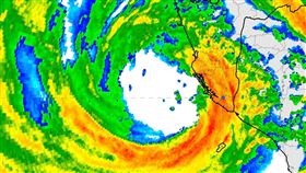 海葵https://www.facebook.com/photo/?fbid=696299192528642&set=a.599274732231089