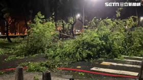 帆布,85大樓,青年一路,風雨,高雄,工務局,海葵,颱風（圖／翻攝畫面）