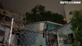 鐵皮屋頂,大樹,海葵,民宅,高雄,躲劫（圖／翻攝畫面）