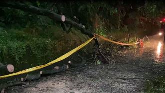 海葵風雨釀災　台北內湖驚傳「樹木倒塌」