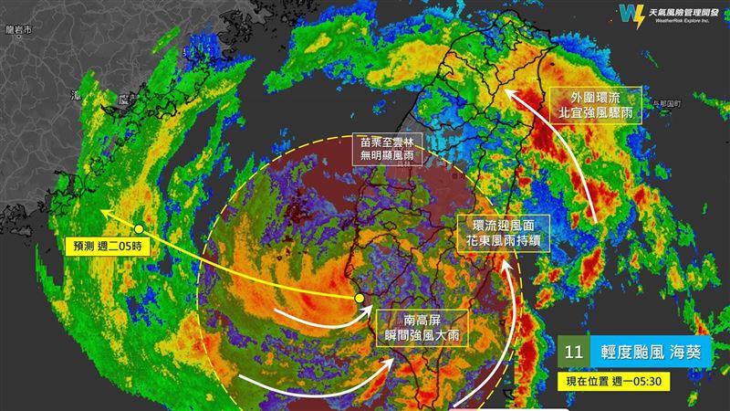 海葵在原地睡了一覺　遠離時機曝光