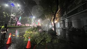 海葵颱風,時雨量,停電,樹倒,高雄市,二度登陸