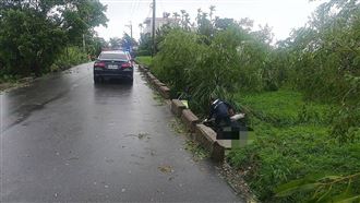 新／颱風天騎車摔落坡坎　男慘死雜草堆中