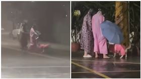 高雄,海葵,颱風,柴柴,廁所