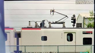 自強號集電弓卡樹枝　池上至台東雙向受阻