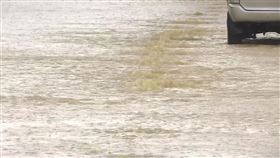 大雨、積水、豪雨