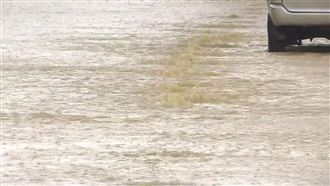 颱風後！　整理家園勿赤腳恐三菌染上身