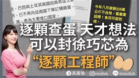 民進黨立委高嘉瑜4日深夜發文痛批國民黨立委參選人徐巧芯，是笨蛋還是壞蛋？（圖／翻攝自高嘉瑜臉書）