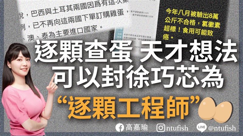 笨蛋還壞蛋？高嘉瑜轟徐巧芯逐顆工程師