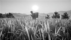 小村大債,中國,中國農業農村部,呂德文,桂華,黃岩,舊村級債務,新村級債務（示意圖／pixabay）