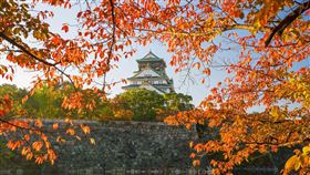 捷絲旅大阪心齋橋館,晶華國際酒店集團提供