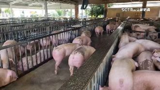 中元節休市＋颱風　傳統市場5天買嘸豬肉