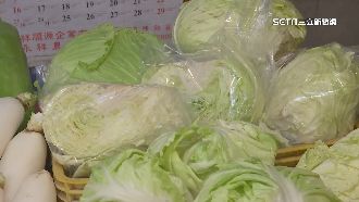 風災土石流　「高山高麗菜」單顆飆700元