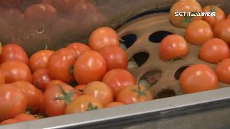 蔬果「凍齡」靠冷鏈冰凍！牛番茄可放2年