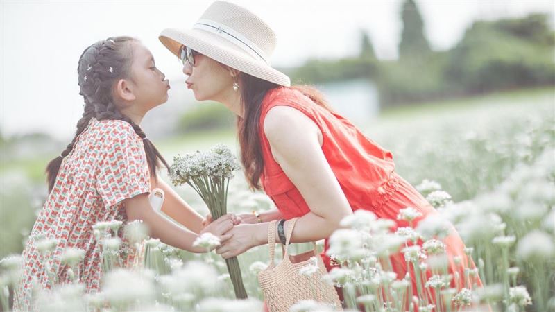 浪漫九月雪！彰化韭菜花季9/9夢幻開園
