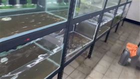 天搖地晃！嘉義規模5.5地震　水晶蝦養殖繁殖場11魚缸爆裂