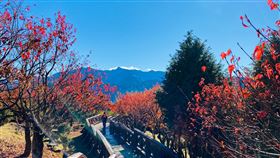 高鐵秋冬旅遊聯票。（圖／台灣高鐵公司提供）