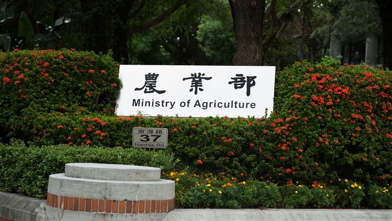 農業部：進口雞蛋超思先墊  畜產會無損失