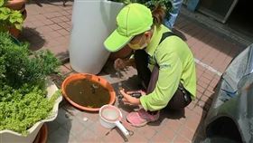 積水容器,登革熱,稽查,開單,不滿