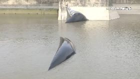 文 淹水沒消風1800