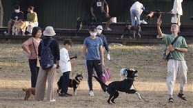 天氣穩定  各地多雲到晴像夏天（1）中央氣象局表示，21日台灣為多雲到晴的天氣，白天各地有夏天的感覺，高溫比20日更高。圖為民眾午後在高雄市鳳山區一處公園遛狗運動。中央社記者董俊志攝  112年3月21日