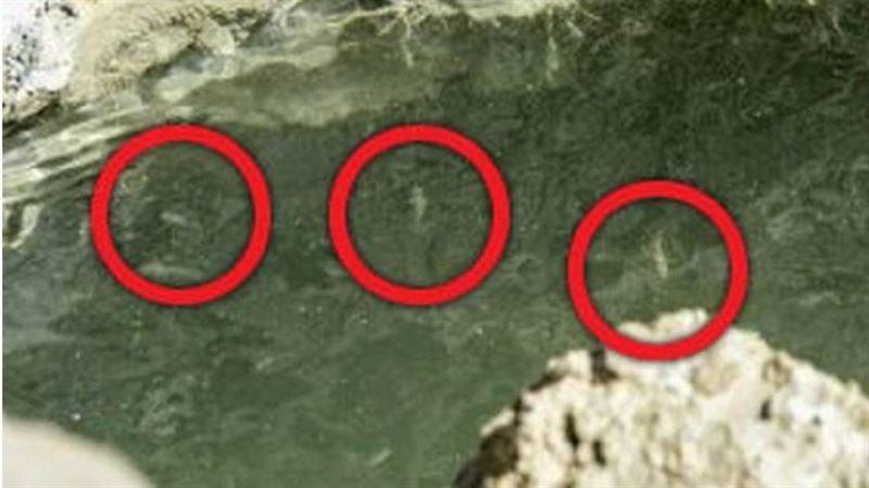 末日預言已現3兆？信徒驚跟《聖經》一樣