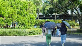 秋天/天氣（記者陳弋攝影）