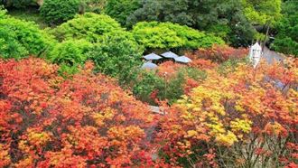 天氣漸轉穩　東北風「這天」起報到