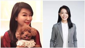 新竹,高虹安,錢康明,文化局長,周玉蔻