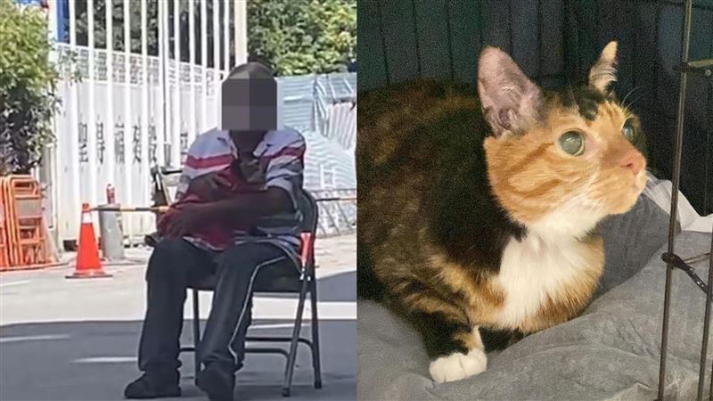 大直塌陷宅貓獲救　飼主曝阿花最新情況
