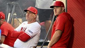 ▲天使被爆有意交易「神鱒」楚奧特（Mike Trout）。（圖／美聯社／達志影像）