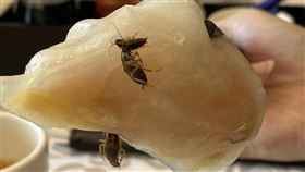 原PO表示，蝦餃的蒸籠裡有10幾隻蟑螂。（圖／翻攝自爆料公社）